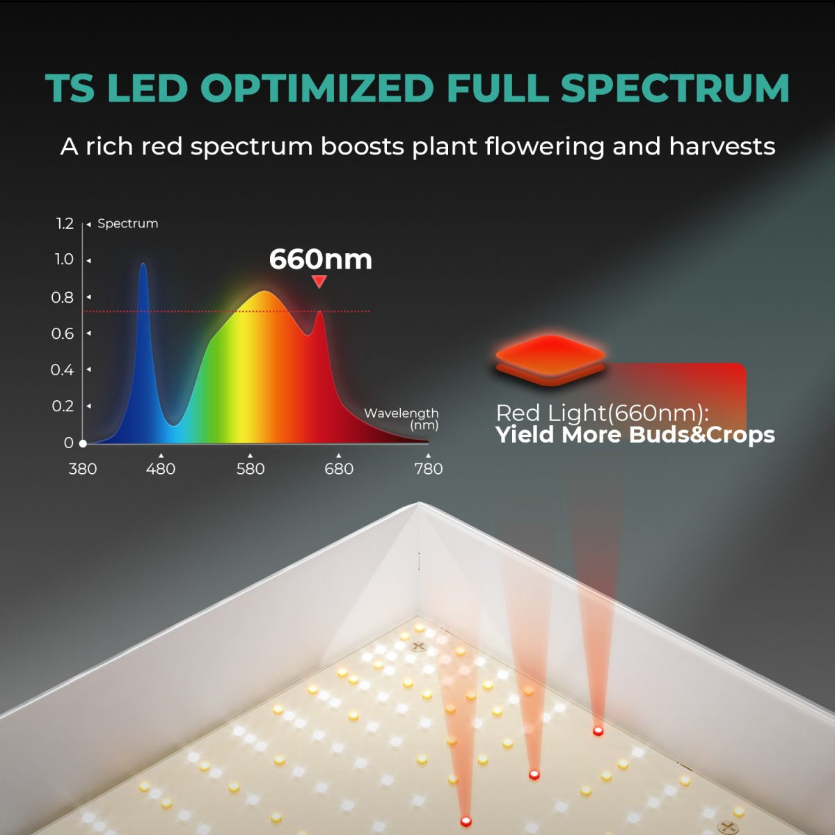 Mars Hydro Dyrkesett | 80x80cm Dyrketelt | TS1000 150W Plantelys | Vifte