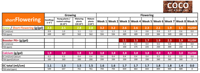 Short Flowering | Produsere Flere og Tyngre Frukter | 50g