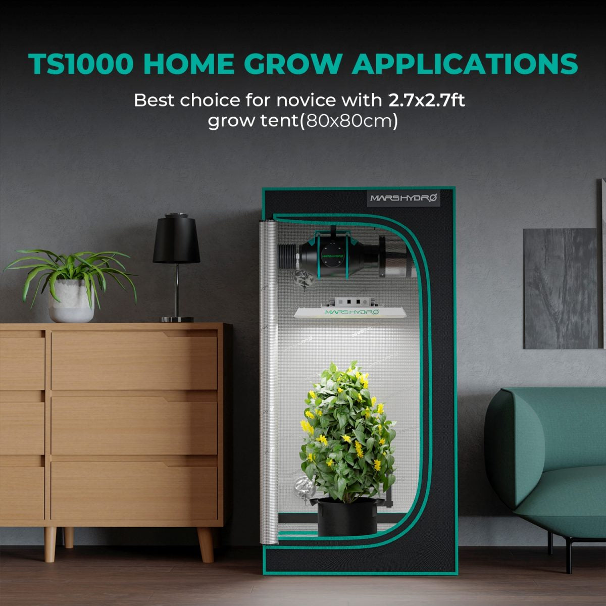 Mars Hydro Dyrkesett | 80x80cm Dyrketelt | TS1000 150W Plantelys | Vifte