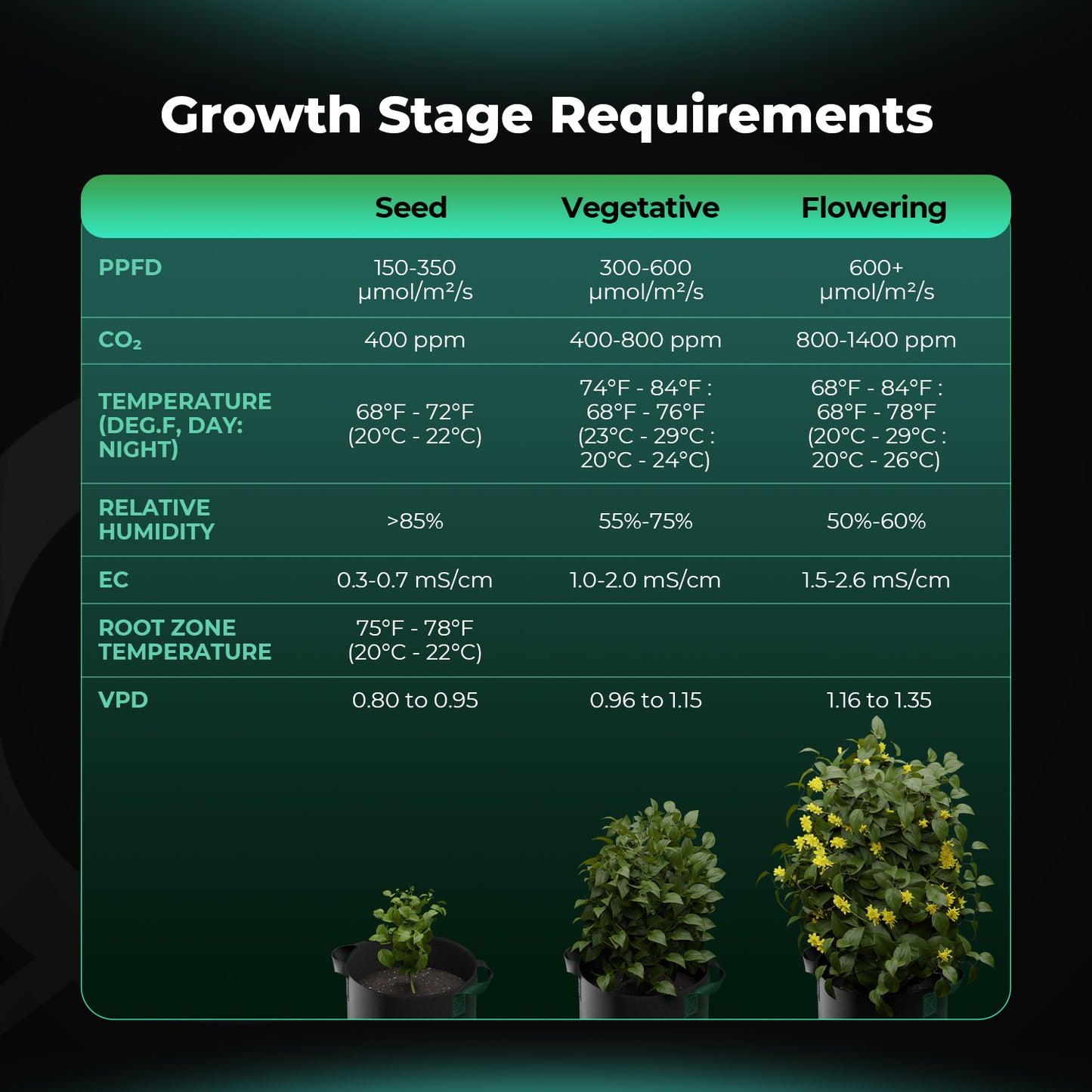 Vekstlysbar 200W LED | Kan Dimmes | 8 stk | Spider Farmer - Nordstrøm Botaniske
