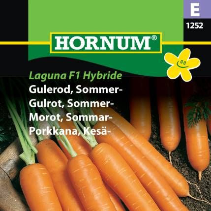 Gulrot Frø | Såbånd | ‘Laguna F1 Hybride’