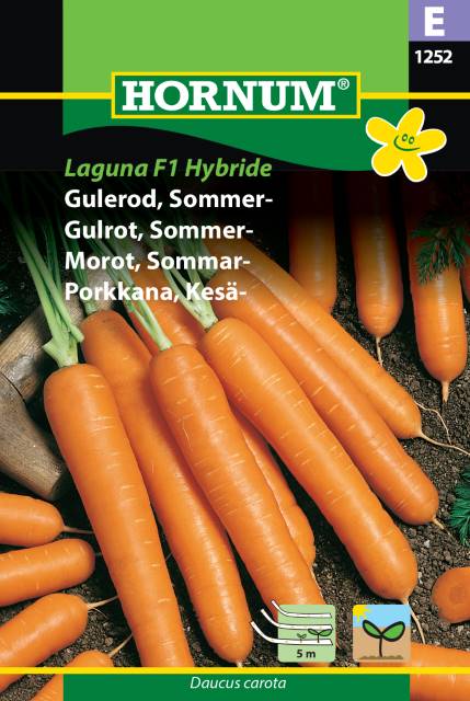 Gulrot Frø | Såbånd | ‘Laguna F1 Hybride’