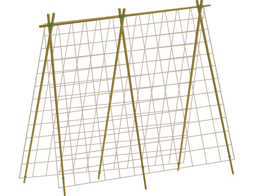 Plantestøtte til Erter & Bønner | 1,8m x 1,8m