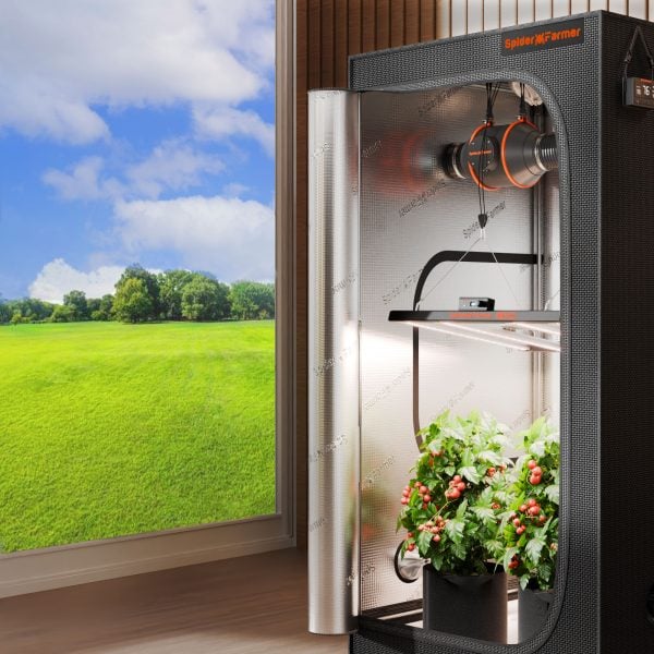 Plantelys 300W | Vekstlys | Spider Farmer® G3000