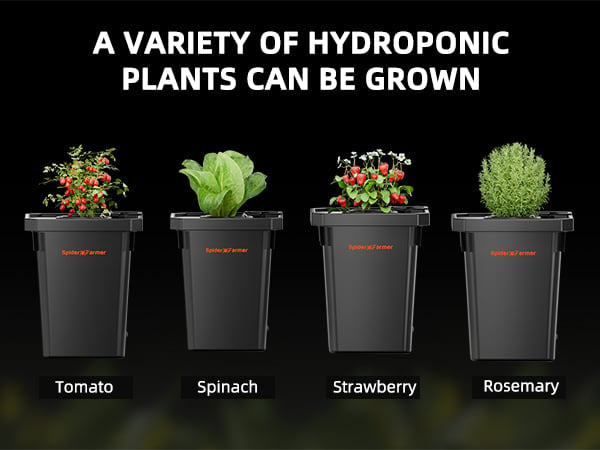 DWC Hydro-system | 2 Bøtter | 26L | Spider Farmer