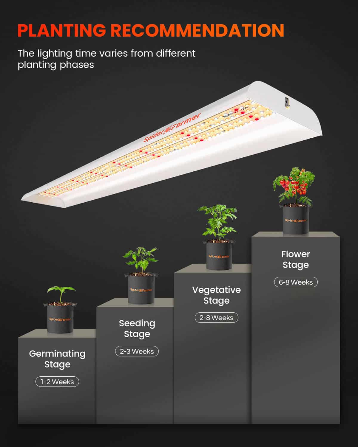Plantelys 74W | Hagebelysning | Spider Farmer® SF600
