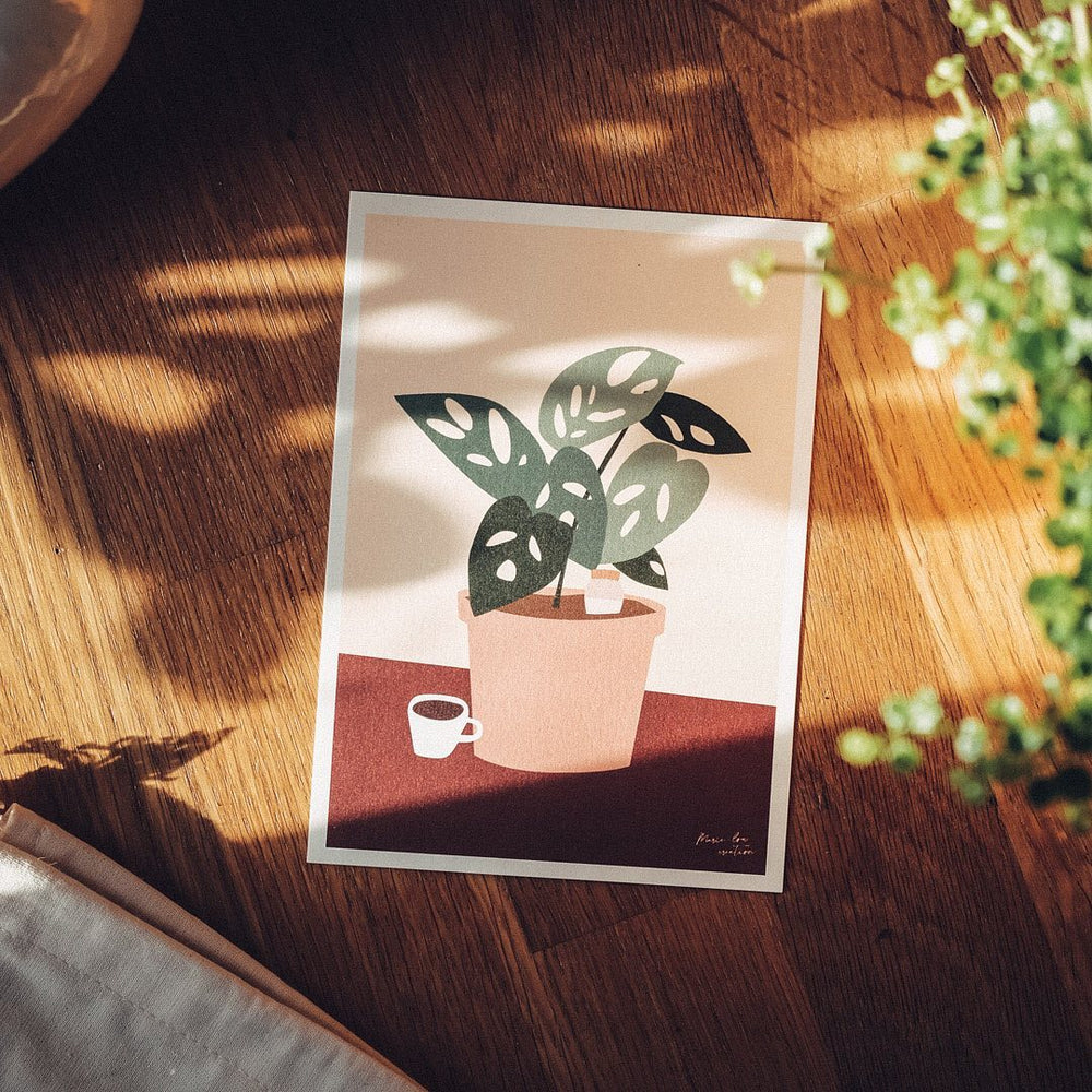 Selvvanning Ollas | Ferievanner | Korall