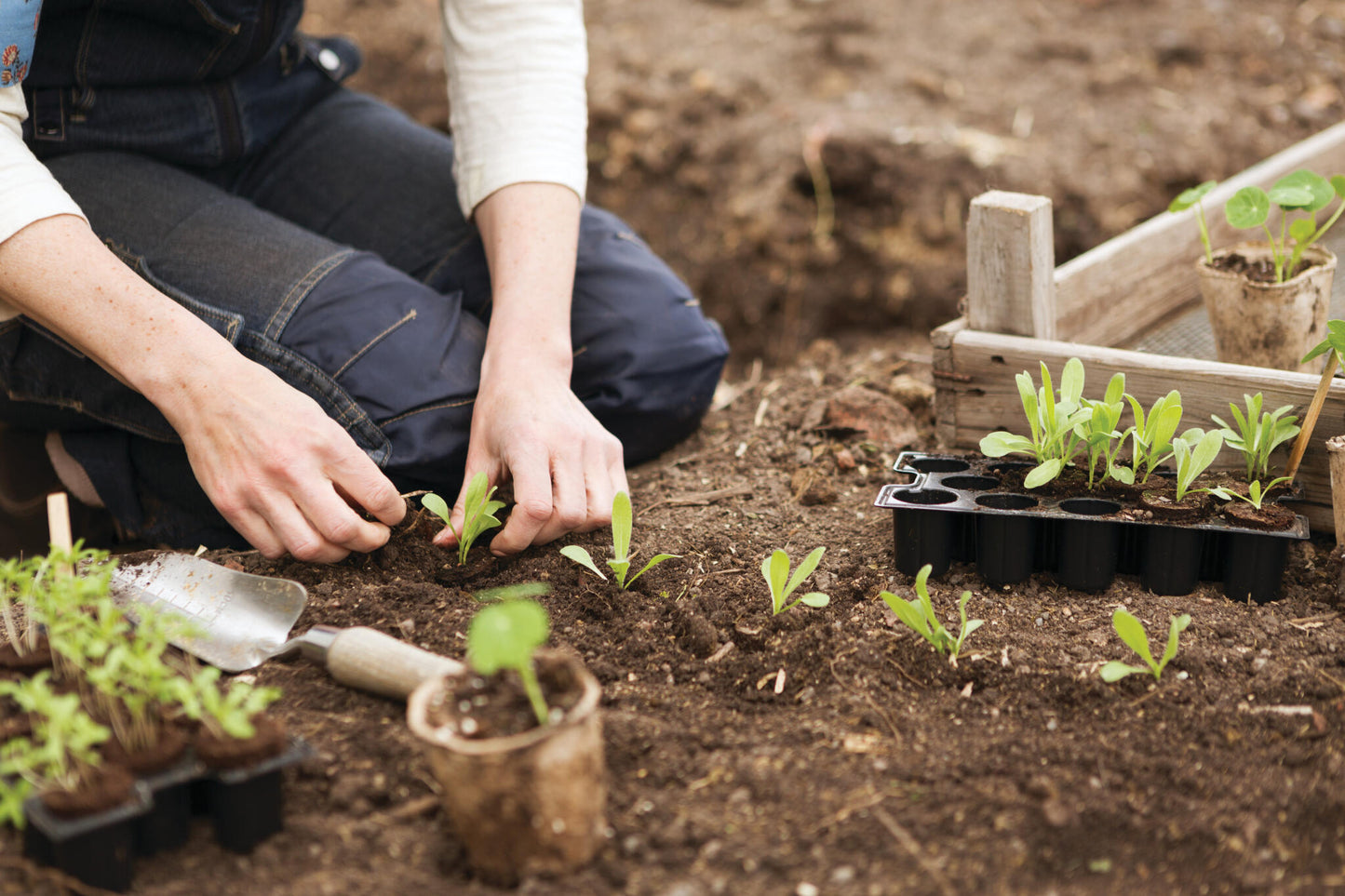 Nelson Garden Planteplugg | Uten Frø 14 stk | Kokosfiber, Torv, Næring