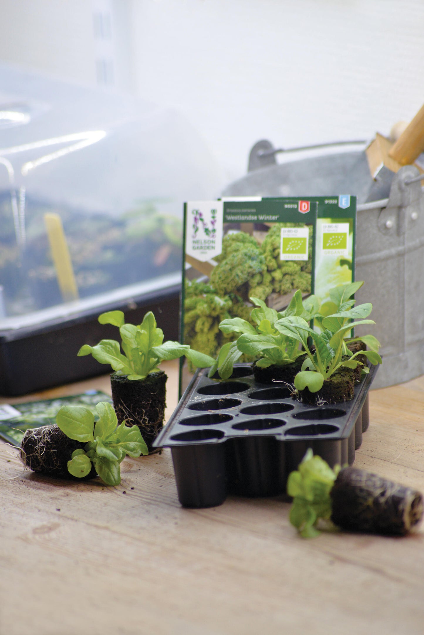 Nelson Garden Planteplugg | Uten Frø 14 stk | Kokosfiber, Torv, Næring