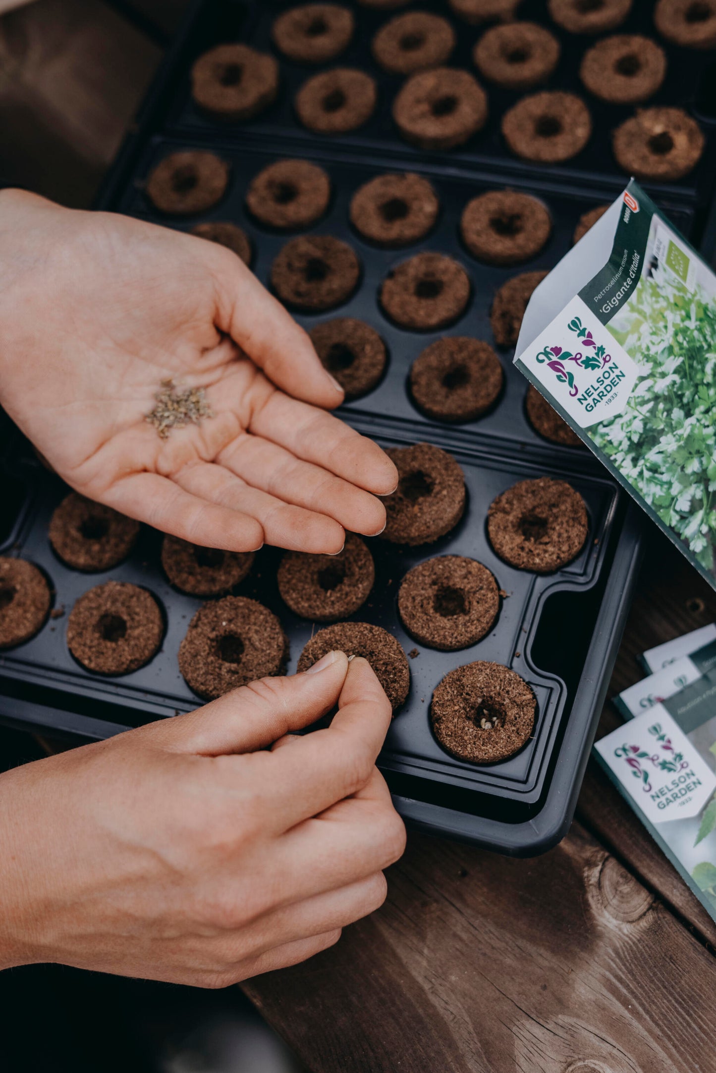 Nelson Garden Planteplugg | Uten Frø 14 stk | Kokosfiber, Torv, Næring