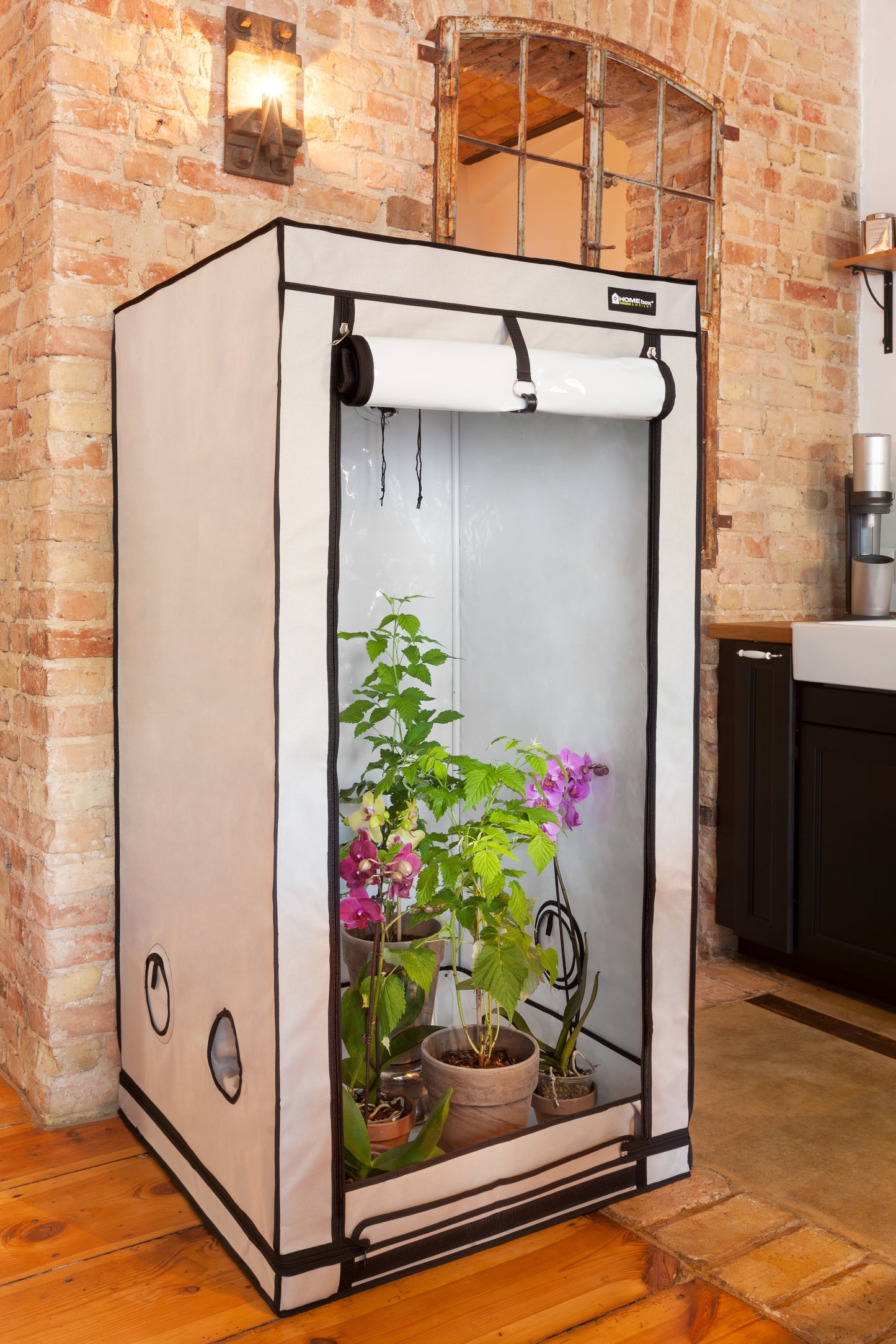 HOMEbox® Dyrketelt Q60+ | Plantetelt for Kompakte Planter