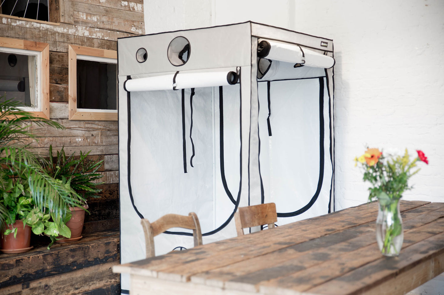 HOMEbox® Dyrketelt Q60+ | Plantetelt for Kompakte Planter