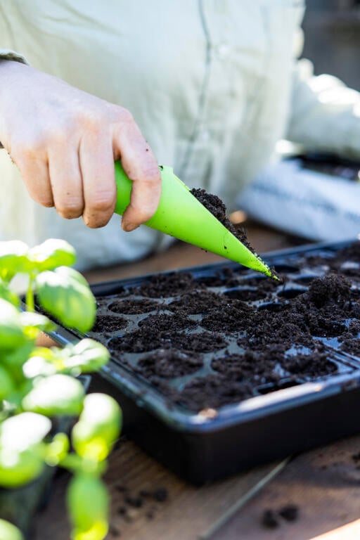 jordøse nelson garden
