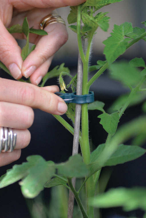 Nelson Garden Planteklips | Oppbinding og Støtte til Planter