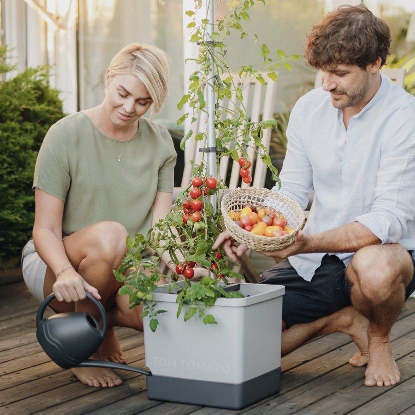 Tomatpotte med Selvvanning og Espalier | 4,5 L Vanntank | Lys grå