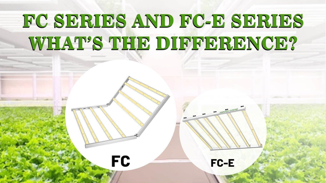 Forskjellen mellom FC og FC-E serien (Mars Hydro vekstlys)