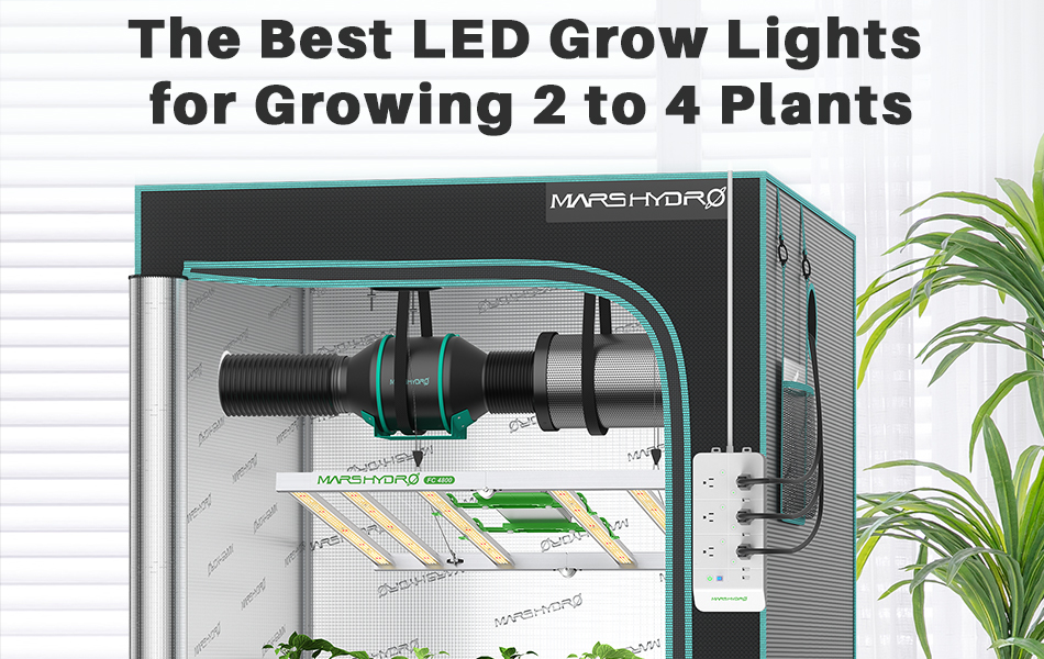 De beste LED-vekstlysene for dyrking av 2 til 4 planter