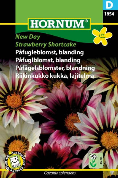 Påfuglblomst Frø | Blanding | ‘New Day’