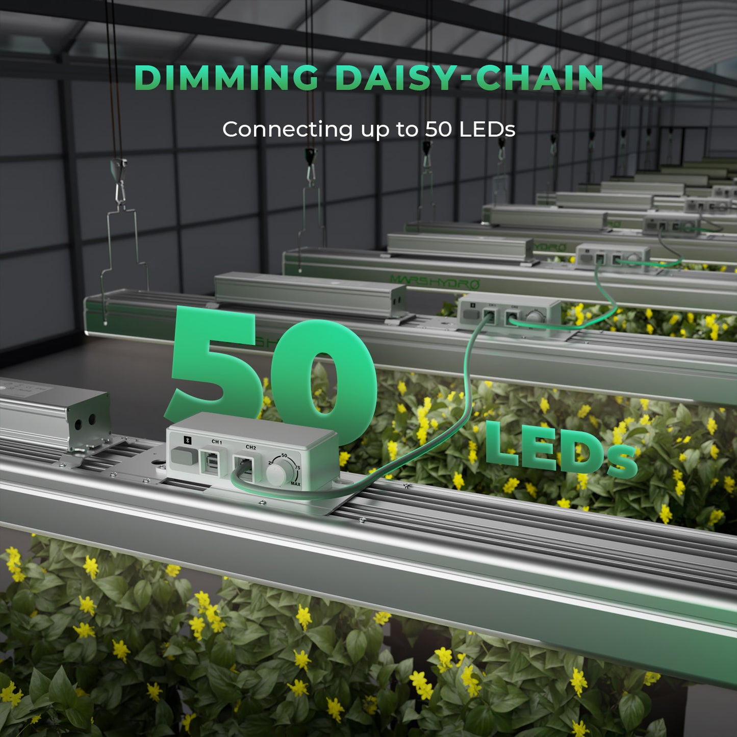 Mars Hydro Vekstlys 300W | Plantelys for Dyrketelt og Dyrkerom - Nordstrøm Botaniske