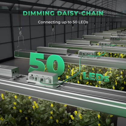 Mars Hydro Vekstlys 300W | Plantelys for Dyrketelt og Dyrkerom - Nordstrøm Botaniske