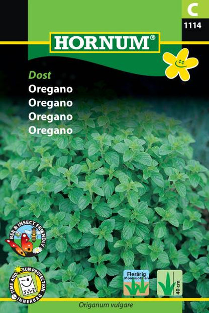 Oregano Frø | Flerårig | `Dost`