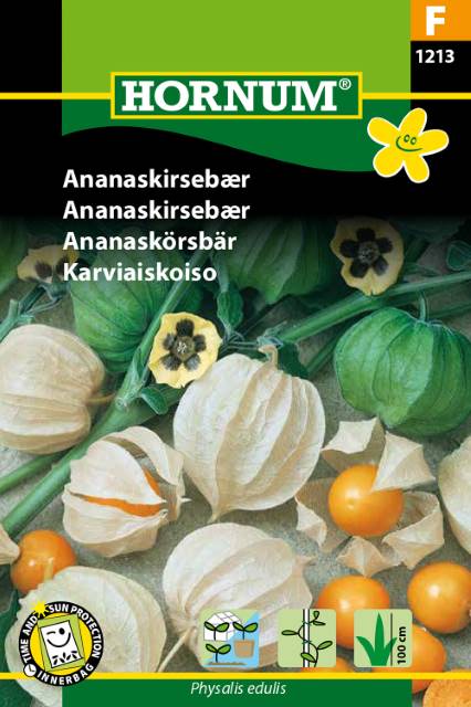 Physalis Frø | Ananaskirsebær