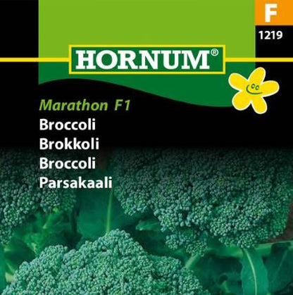 Brokkoli Frø | ‘Marathon F1’