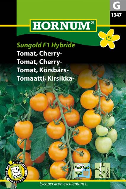 Tomat Frø | Cherry ‘Sungold F1 Hybride’