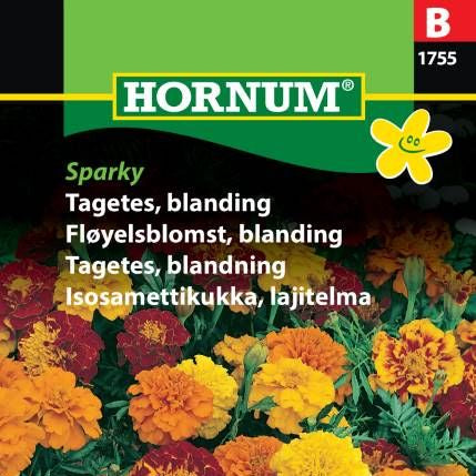 Tagetes Frø | Fløyelsblomst | Blanding | ‘Bonita mix’