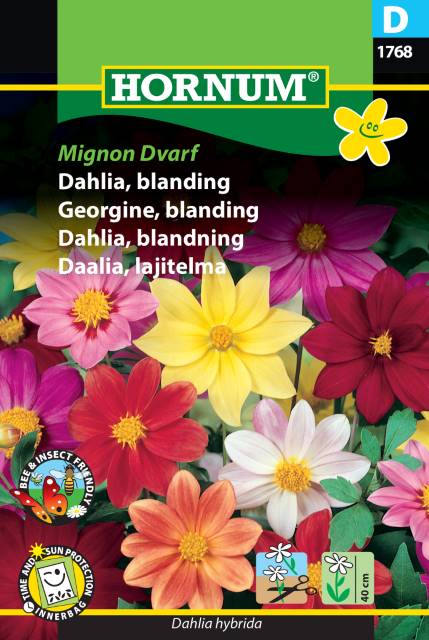 Dahlia | Blanding | Danner Knoller | ‘Mignon Dwarf’
