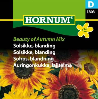 Solsikke Frø | ‘Beauty of Autumn Mix’ | Blanding