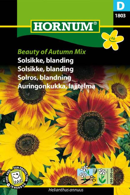 Solsikke Frø | ‘Beauty of Autumn Mix’ | Blanding