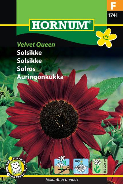 Solsikke Frø | ‘Velvet Queen’