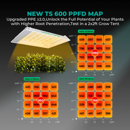 Mars Hydro Vekstlys 100W plantelys for dyrkerom and dyrketelt, energy-efficient grow light for healthy indoor plants.