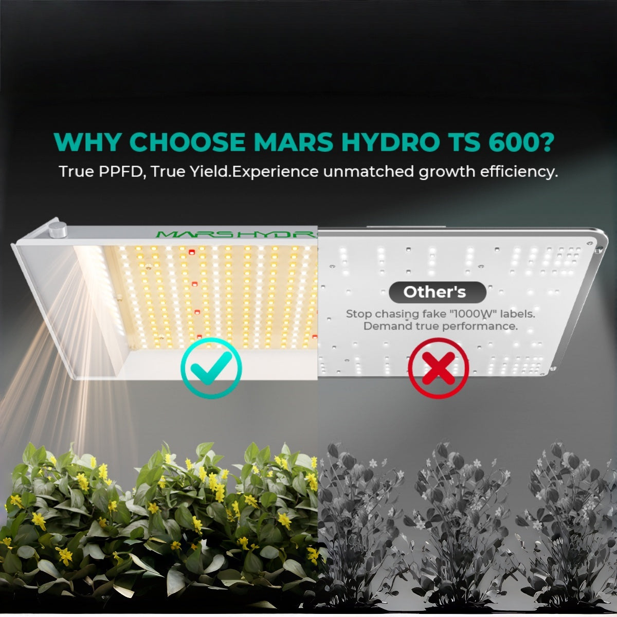 Mars Hydro 100W grow light for plant growth in grow tents and indoor grow rooms, ideal for healthy plant development.