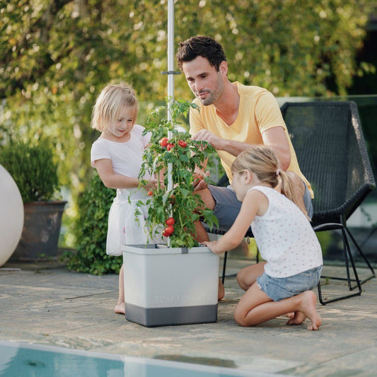 Tomatpotte med Selvvanning og Espalier | 4,5 L Vanntank | Lys grå