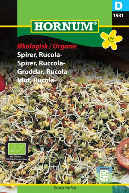 Hornum Spirer | Ruccola | Økologisk